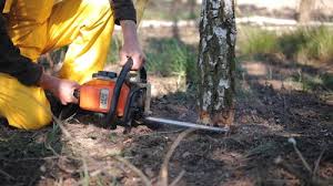 Best Aeration Services  in Georgetown, KY