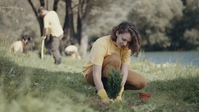 Best Lawn Pest Prevention  in Georgetown, KY