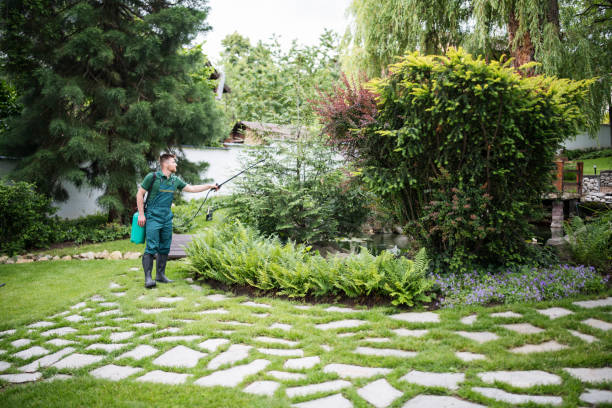Trusted Georgetown, KY Tree Services Experts