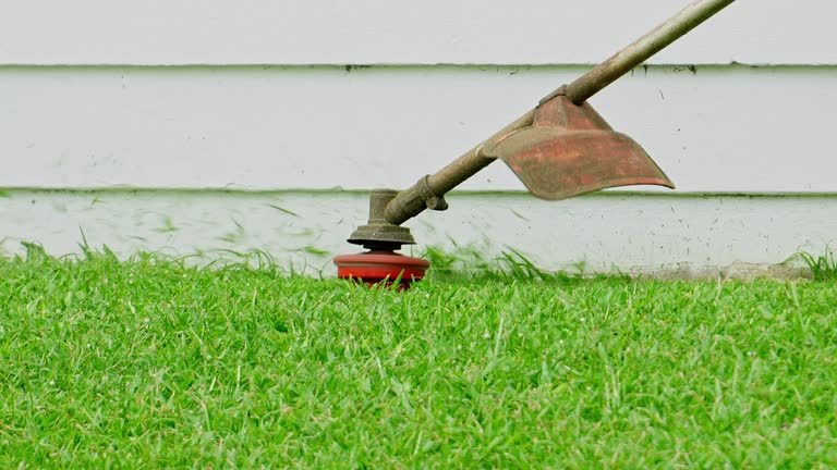 Best Seasonal Cleanup (Spring/Fall)  in Georgetown, KY