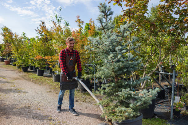 Best Tree Health Inspection  in Georgetown, KY