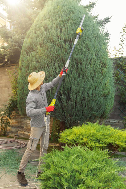 Best Lawn Drainage Solutions  in Georgetown, KY